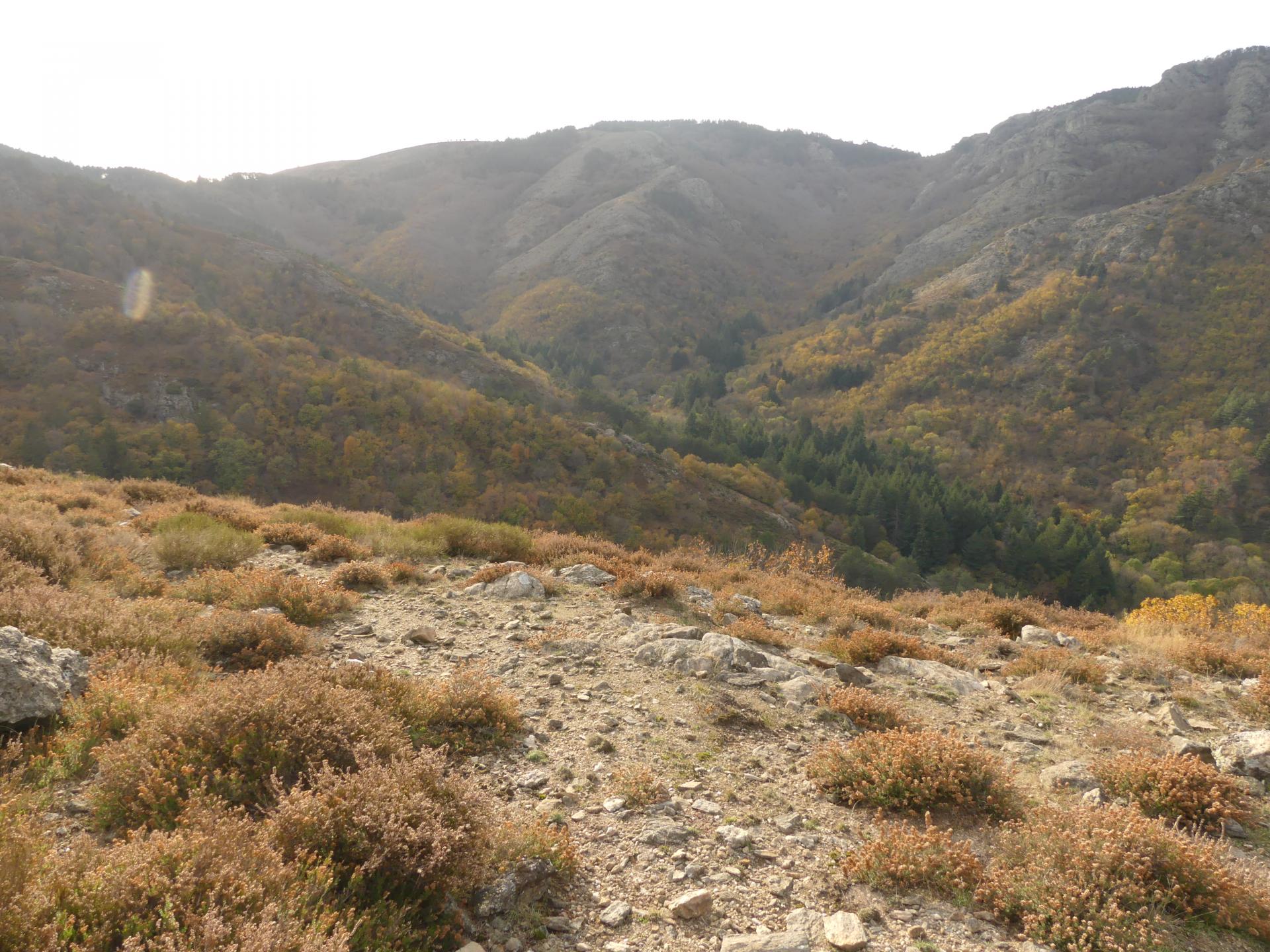 Balades sur l'Espinouse