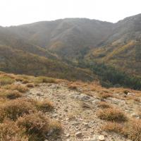 Balades sur l'Espinouse