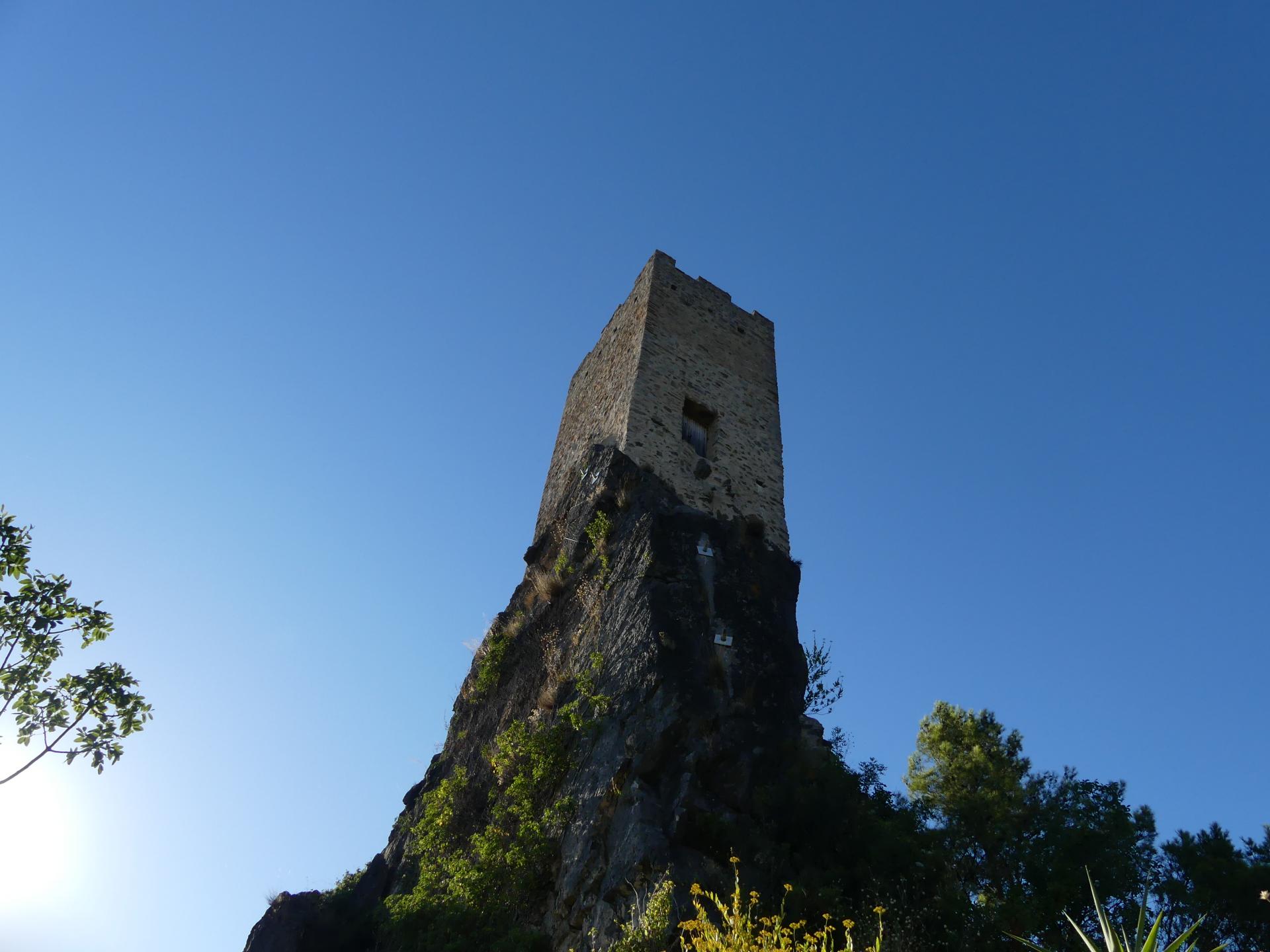 P1020374