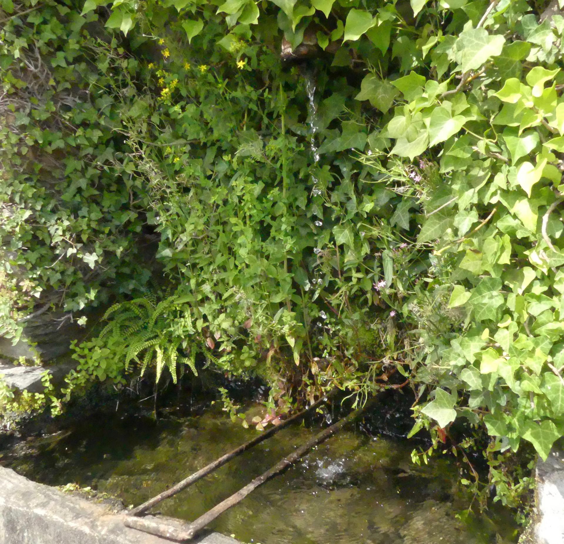 P1050581
