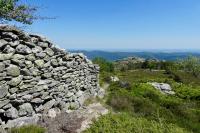 Sentier caroux